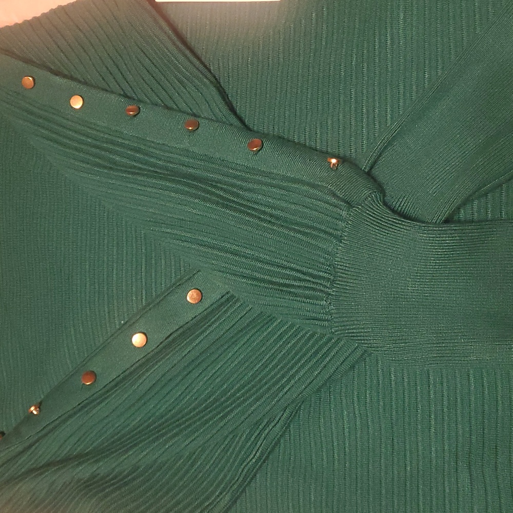 Liz Claiborne Green Ribbed Blouse Wore 1x